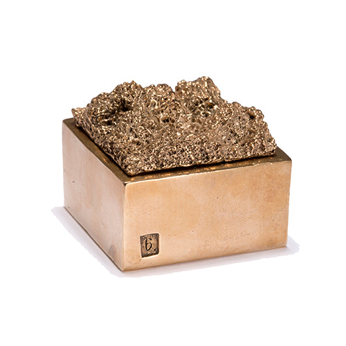 Bronze box with smooth polished base and highly textured and topographical lid
